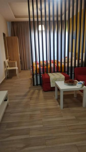 Lovely Studio appartment in a central location